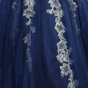 Navy/Silver